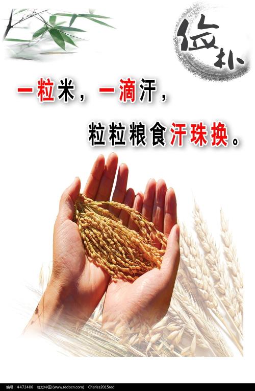 堡国立大学diploma购买